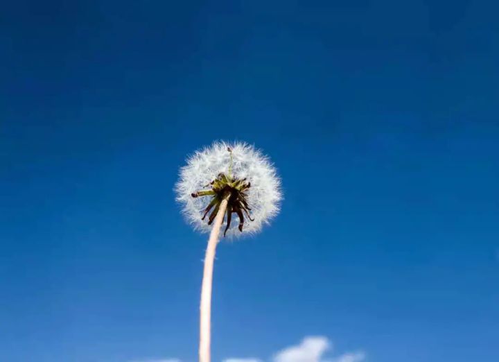 1627460000913865.jpg 640.webp (10).jpg