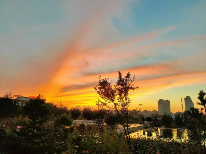 1636074229671510.jpg 640.webp (5).jpg