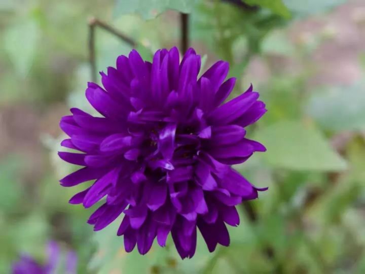 1636074540476792.jpg 640.webp (18).jpg