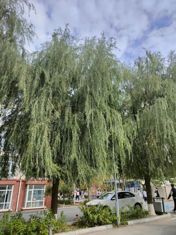 1636074430678482.jpg 640.webp (13).jpg