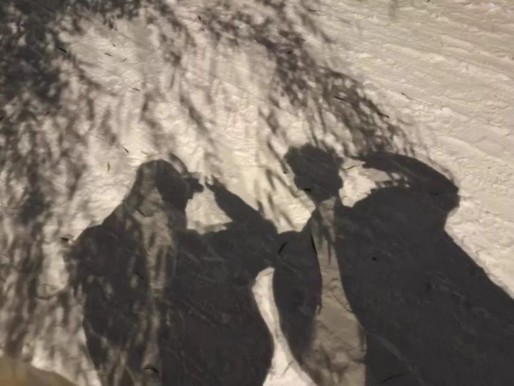 1638953112127348.jpg 640.webp (21).jpg